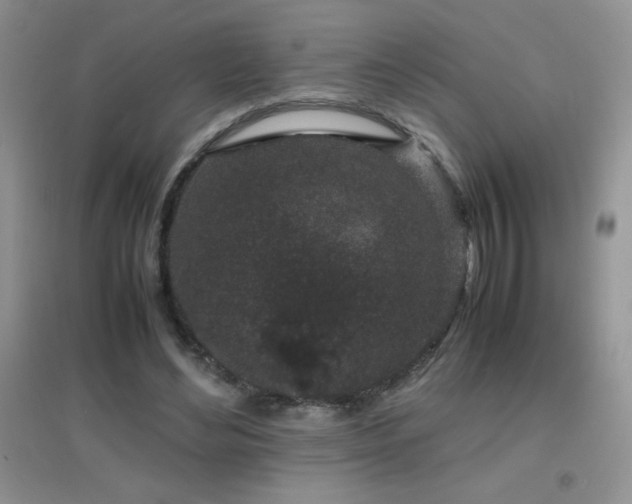 X0000097000492200802081447