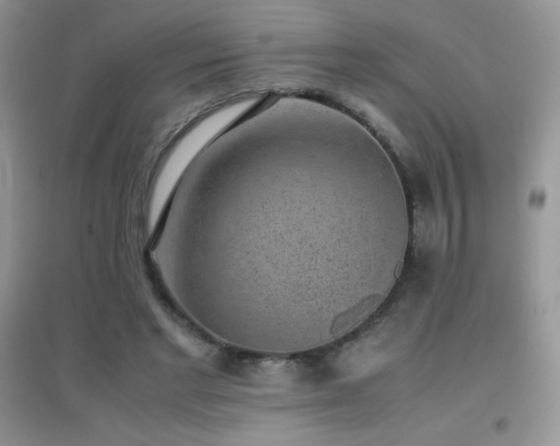 X0000097000493200802081447