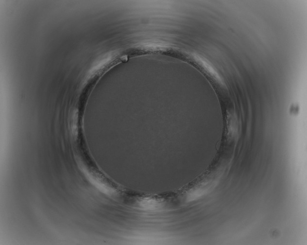 X0000097000494200802081447