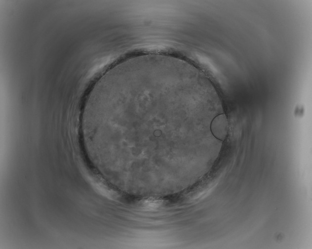 X0000097000495200802081447