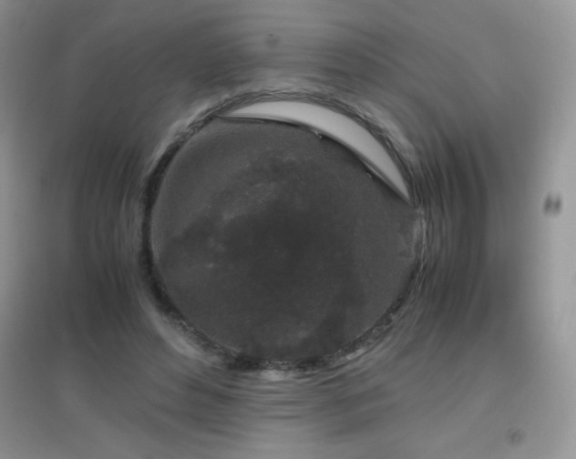 X0000097000496200802081447