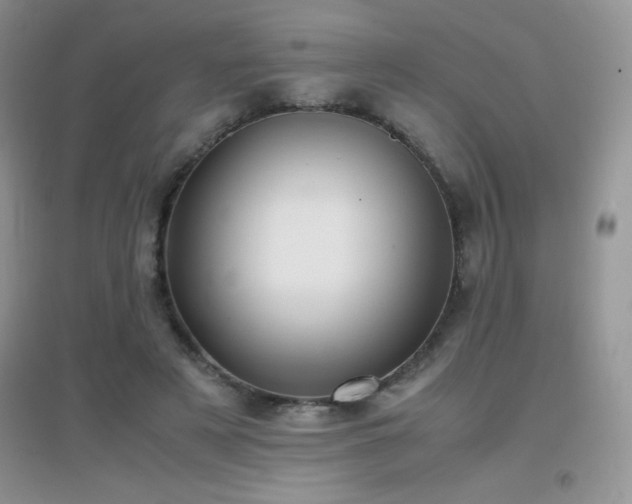 X0000097000497200802081447