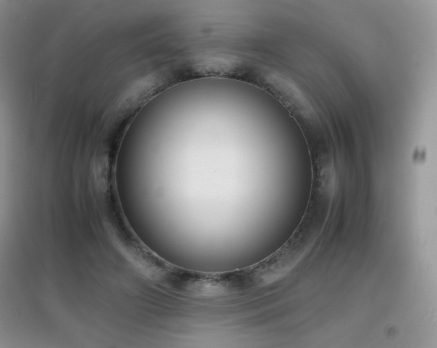 X0000097000498200802081447
