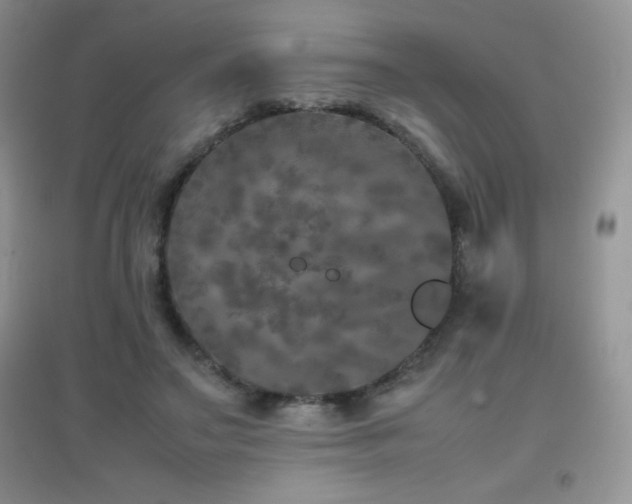 X0000097000499200802081447