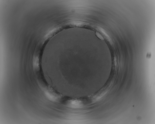 X0000097000500200802081447