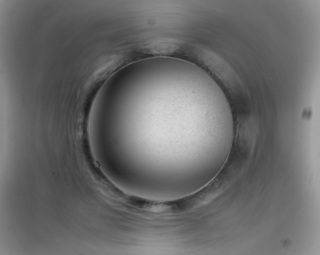 X0000097000501200802081447