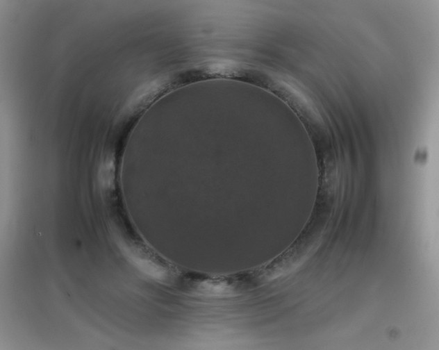 X0000097000502200802081447