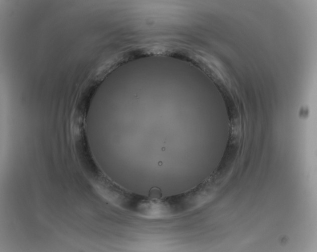 X0000097000503200802081447