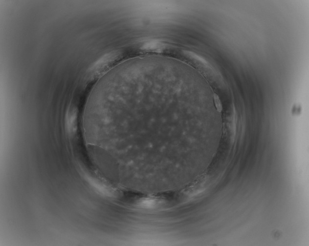 X0000097000504200802081447