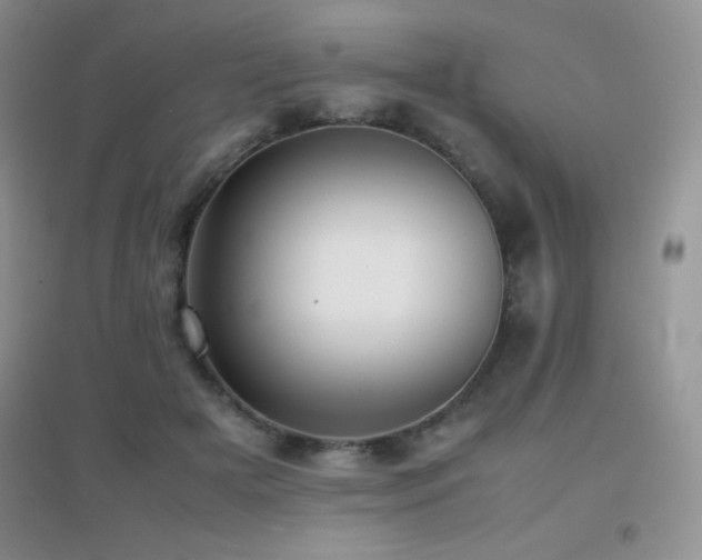 X0000097000505200802081447
