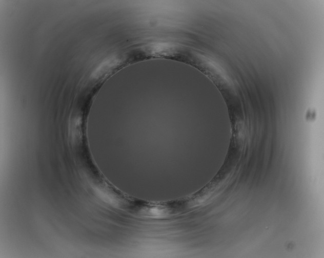 X0000097000506200802081447
