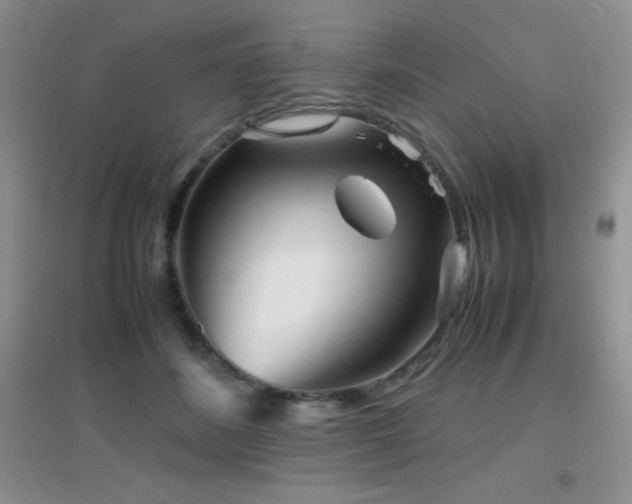 X0000097000508200802081447