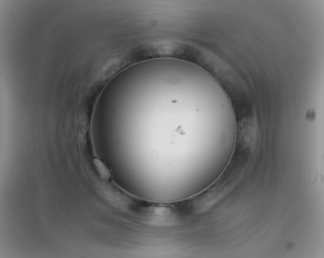 X0000097000509200802081447