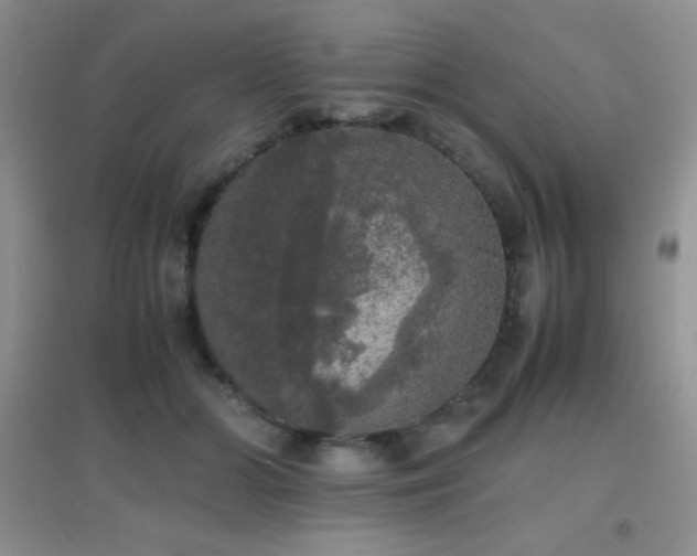 X0000097000510200802081447