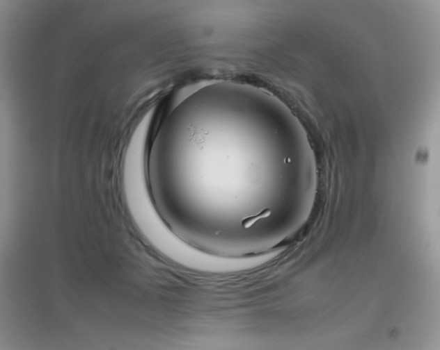 X0000097000511200802081447