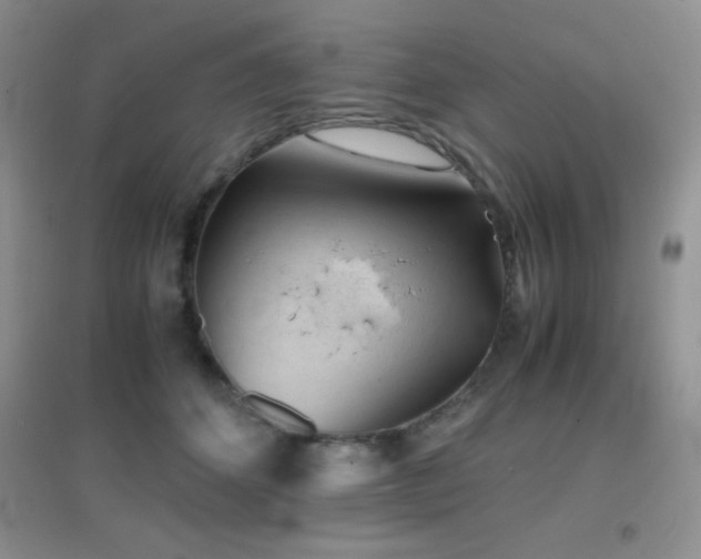 X0000097000512200802081447