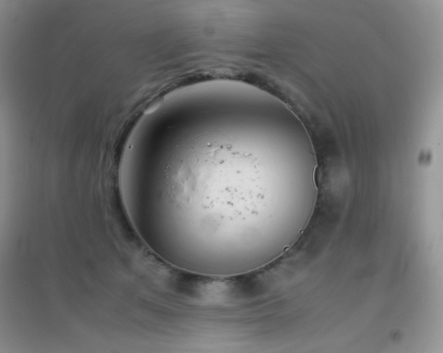 X0000097000513200802081447