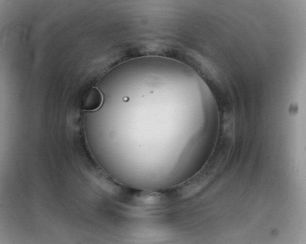 X0000097000514200802081447