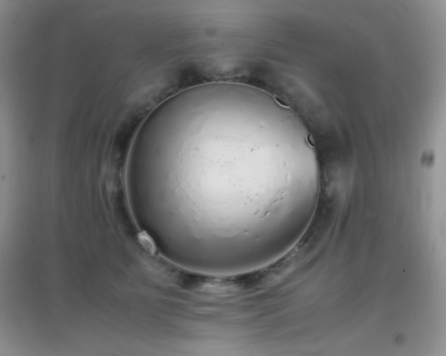 X0000097000515200802081447