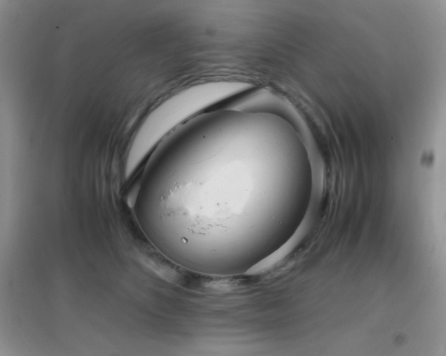 X0000097000516200802081447