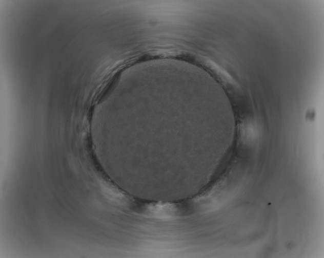X0000097000517200802081447
