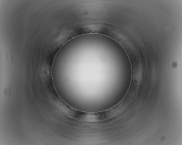 X0000097000518200802081447