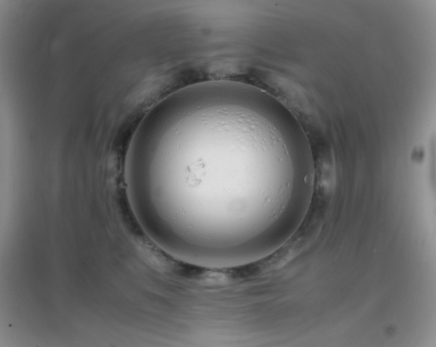 X0000097000519200802081447