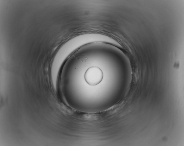 X0000097000520200802081447