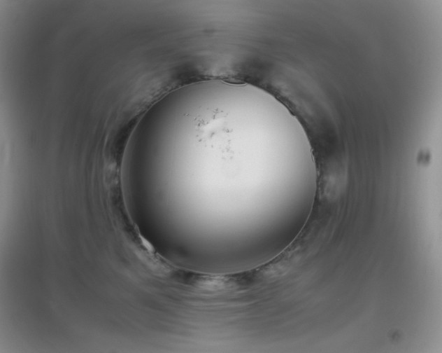 X0000097000521200802081447