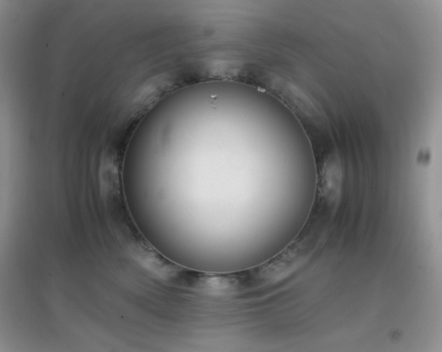 X0000097000522200802081447