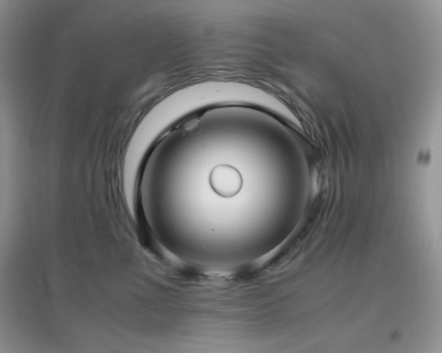 X0000097000523200802081447