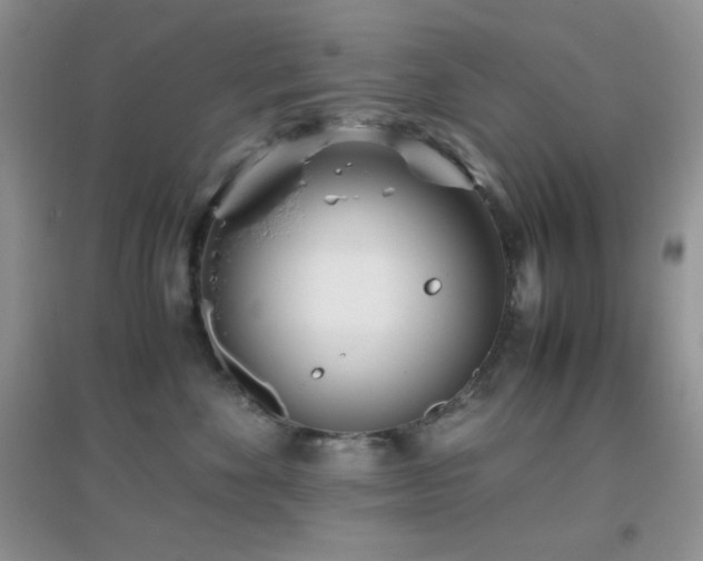 X0000097000524200802081447