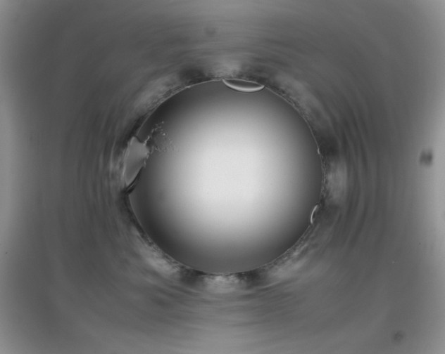 X0000097000525200802081447