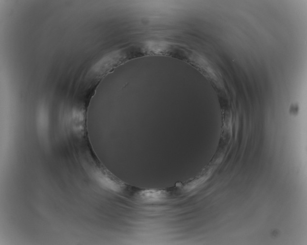 X0000097000526200802081447