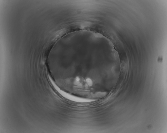 X0000097000527200802081447