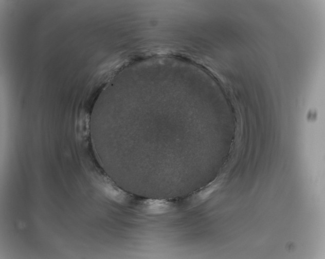 X0000097000528200802081447