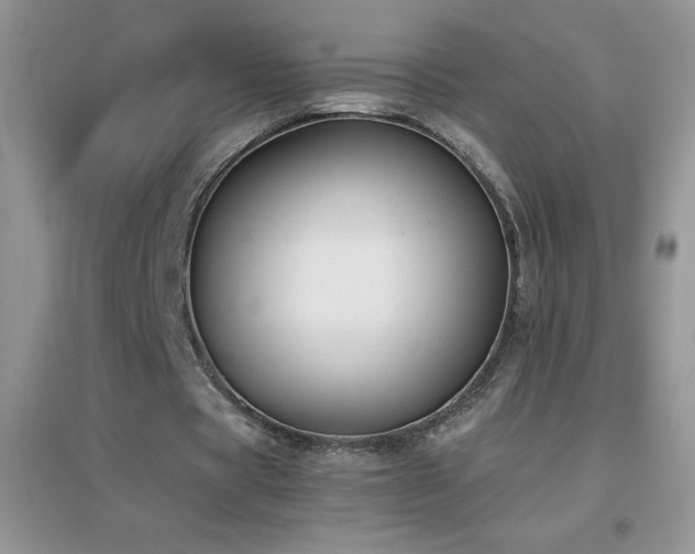X0000097000529200802081446