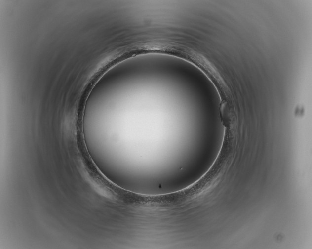 X0000097000530200802081446