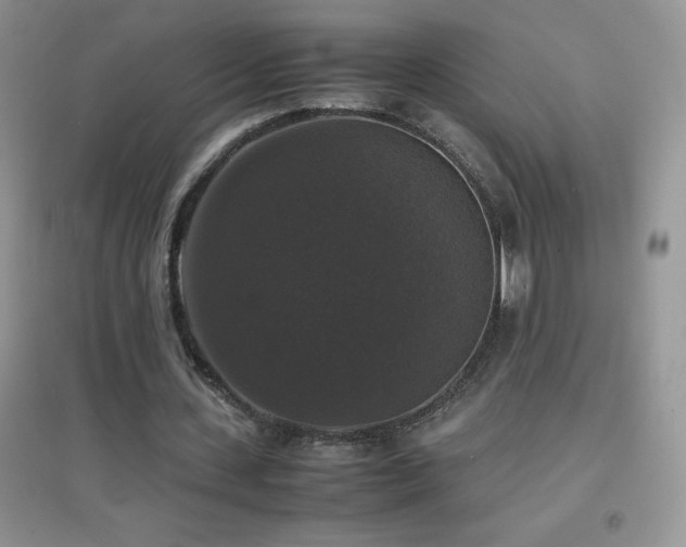 X0000097000531200802081446