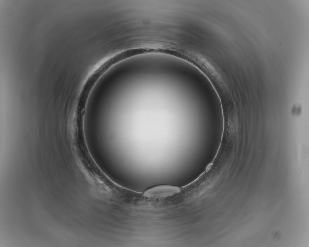 X0000097000532200802081446
