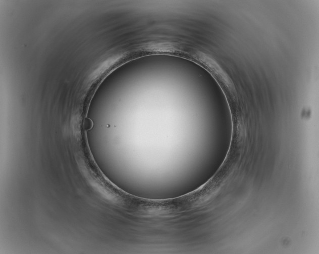 X0000097000533200802081446