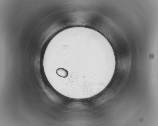 X0000097000534200802081446