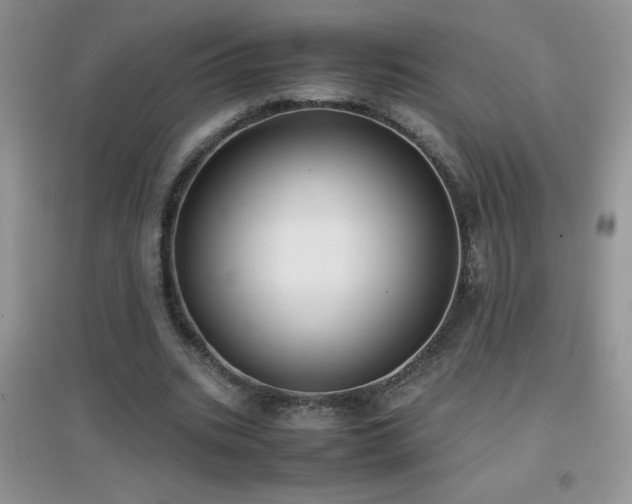 X0000097000535200802081446