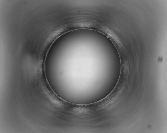 X0000097000537200802081446