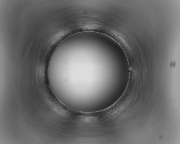 X0000097000539200802081446