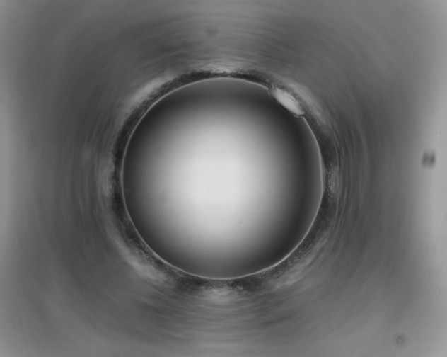 X0000097000540200802081446