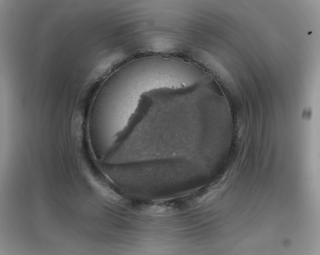 X0000097000542200802081446