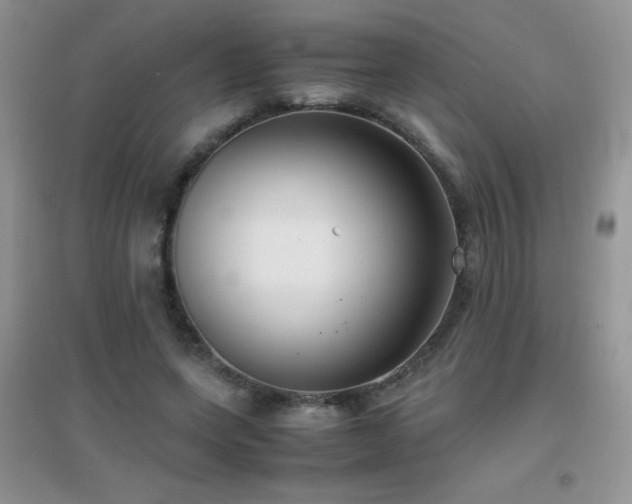 X0000097000543200802081446