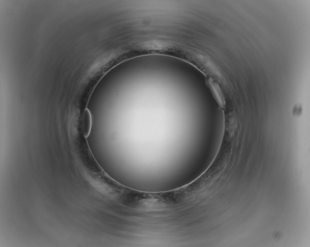 X0000097000544200802081446