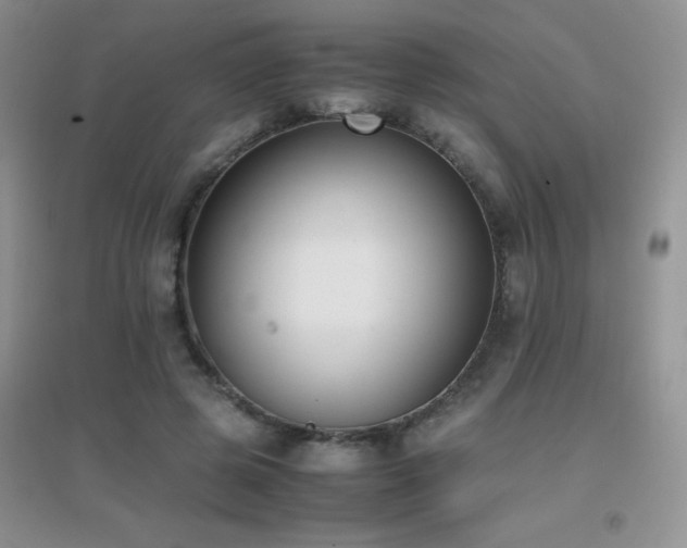 X0000097000545200802081446